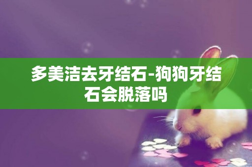 多美潔去牙結石-狗狗牙結石會脫落嗎
