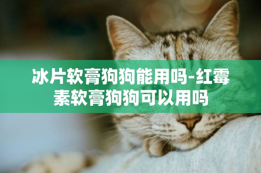 冰片軟膏狗狗能用嗎-紅霉素軟膏狗狗可以用嗎