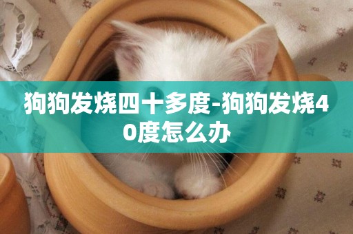 狗狗發燒四十多度-狗狗發燒40度怎么辦