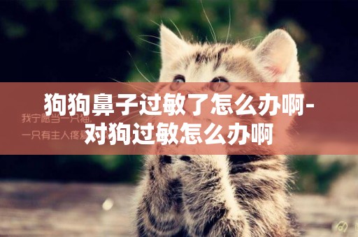 狗狗鼻子過敏了怎么辦啊-對狗過敏怎么辦啊