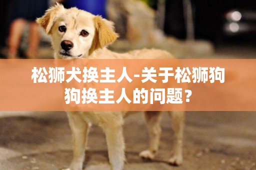 松獅犬換主人-關于松獅狗狗換主人的問題？