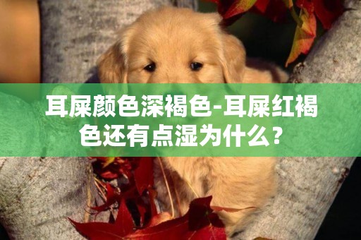 耳屎顏色深褐色-耳屎紅褐色還有點濕為什么？