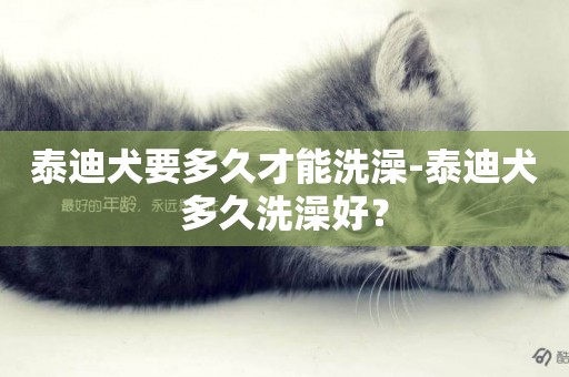 泰迪犬要多久才能洗澡-泰迪犬多久洗澡好？