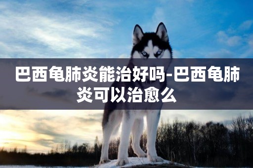 巴西龜肺炎能治好嗎-巴西龜肺炎可以治愈么