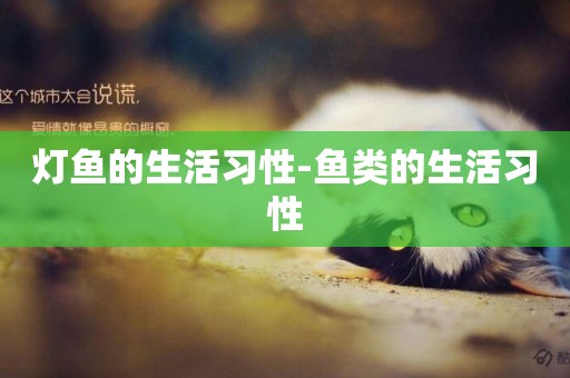燈魚的生活習性-魚類的生活習性