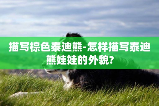描寫棕色泰迪熊-怎樣描寫泰迪熊娃娃的外貌?