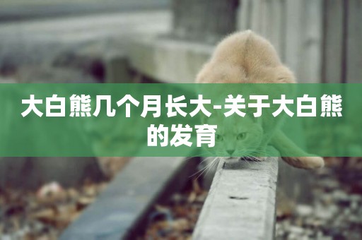 大白熊幾個月長大-關于大白熊的發育