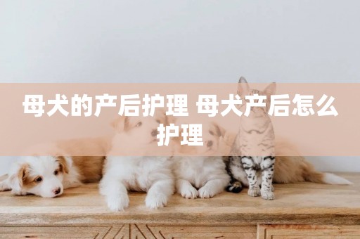 母犬的產后護理 母犬產后怎么護理