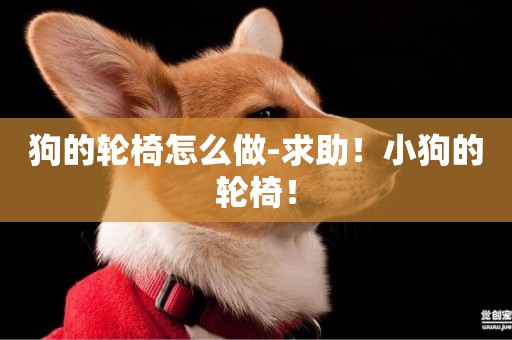 狗的輪椅怎么做-求助！小狗的輪椅！