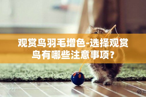 觀賞鳥羽毛增色-選擇觀賞鳥有哪些注意事項？