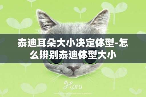 泰迪耳朵大小決定體型-怎么辨別泰迪體型大小