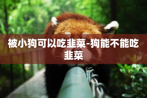 被小狗可以吃韭菜-狗能不能吃韭菜