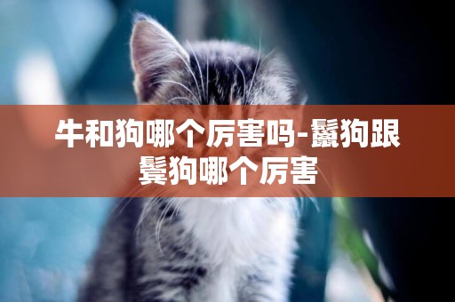 牛和狗哪個厲害嗎-鬣狗跟鬢狗哪個厲害