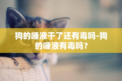 狗的唾液干了還有毒嗎-狗的唾液有毒嗎？