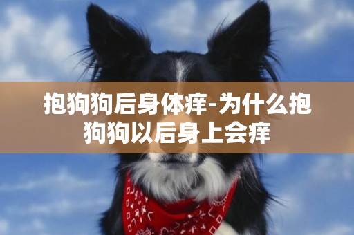 抱狗狗后身體癢-為什么抱狗狗以后身上會癢