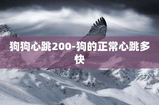 狗狗心跳200-狗的正常心跳多快