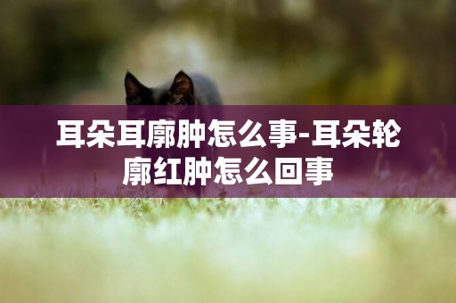 耳朵耳廓腫怎么事-耳朵輪廓紅腫怎么回事