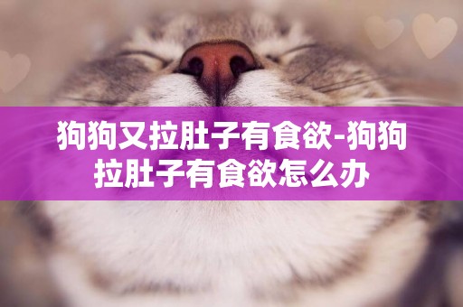 狗狗又拉肚子有食欲-狗狗拉肚子有食欲怎么辦