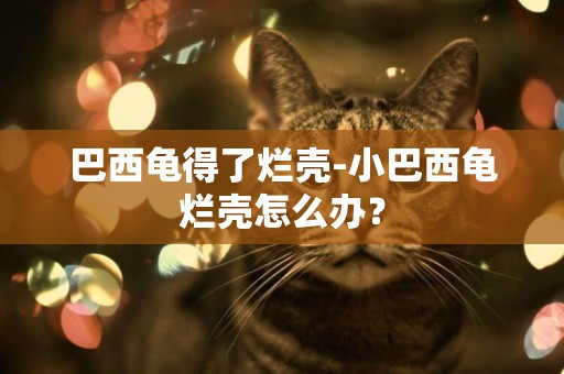 巴西龜得了爛殼-小巴西龜爛殼怎么辦？