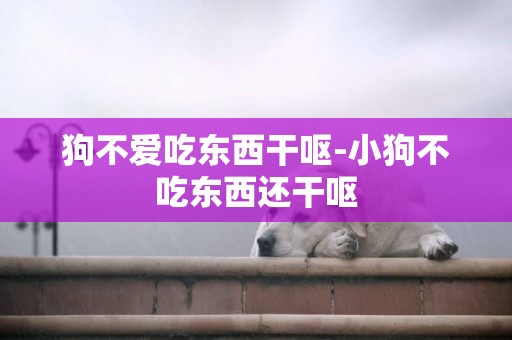 狗不愛吃東西干嘔-小狗不吃東西還干嘔