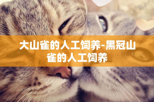 大山雀的人工飼養-黑冠山雀的人工飼養