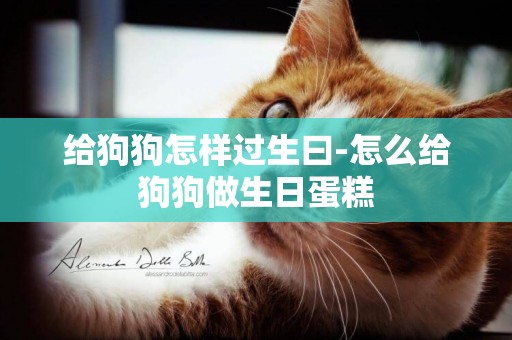 給狗狗怎樣過生曰-怎么給狗狗做生日蛋糕
