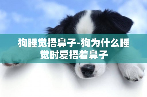 狗睡覺捂鼻子-狗為什么睡覺時愛捂著鼻子