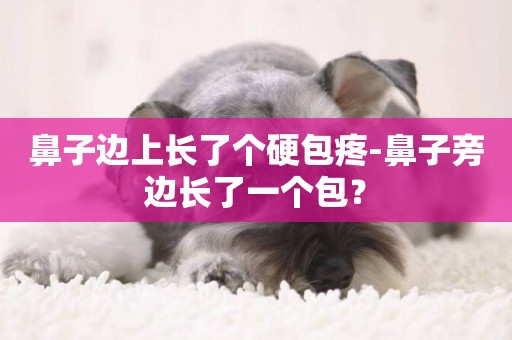 鼻子邊上長了個硬包疼-鼻子旁邊長了一個包？