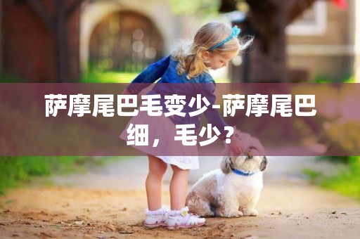 薩摩尾巴毛變少-薩摩尾巴細，毛少？