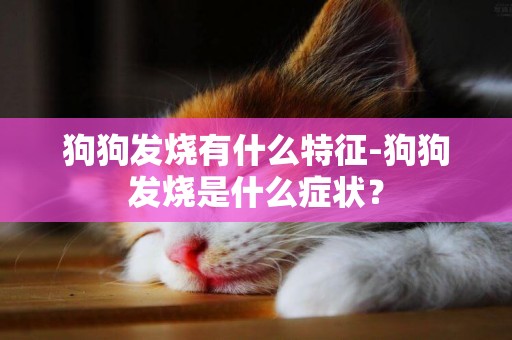 狗狗發燒有什么特征-狗狗發燒是什么癥狀？