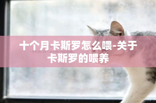 十個月卡斯羅怎么喂-關于卡斯羅的喂養