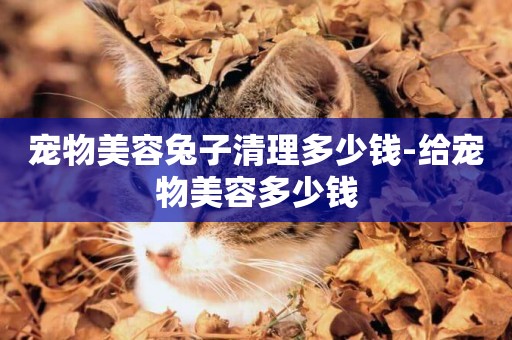 寵物美容兔子清理多少錢-給寵物美容多少錢