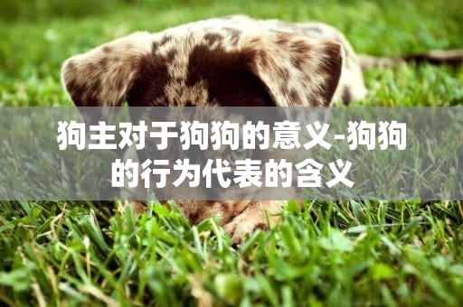 狗主對于狗狗的意義-狗狗的行為代表的含義