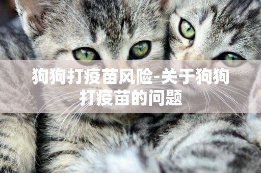 狗狗打疫苗風險-關于狗狗打疫苗的問題