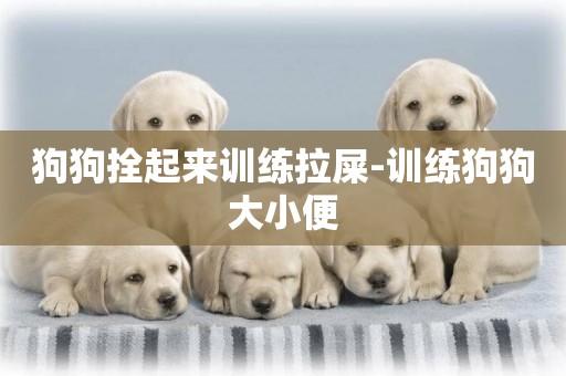 狗狗拴起來訓練拉屎-訓練狗狗大小便