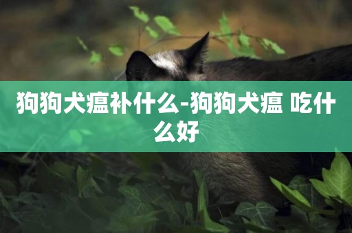 狗狗犬瘟補什么-狗狗犬瘟 吃什么好