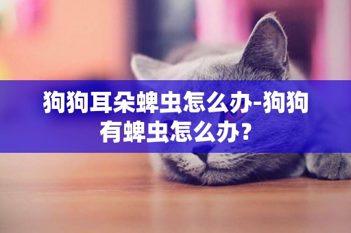 狗狗耳朵蜱蟲怎么辦-狗狗有蜱蟲怎么辦？