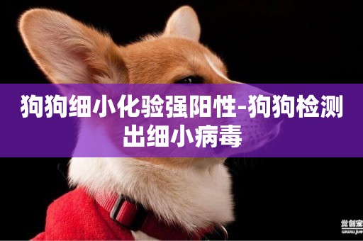 狗狗細小化驗強陽性-狗狗檢測出細小病毒