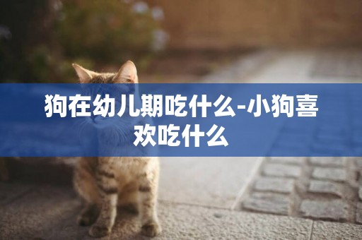 狗在幼兒期吃什么-小狗喜歡吃什么