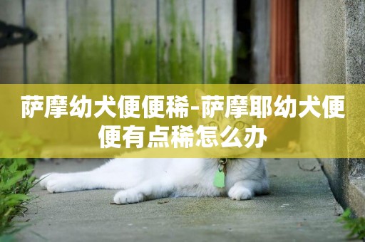 薩摩幼犬便便稀-薩摩耶幼犬便便有點稀怎么辦