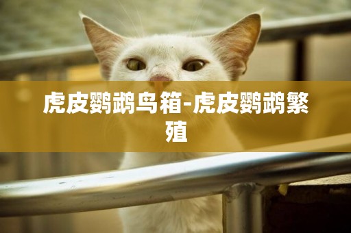虎皮鸚鵡鳥箱-虎皮鸚鵡繁殖