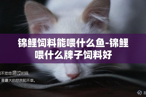 錦鯉飼料能喂什么魚-錦鯉喂什么牌子飼料好