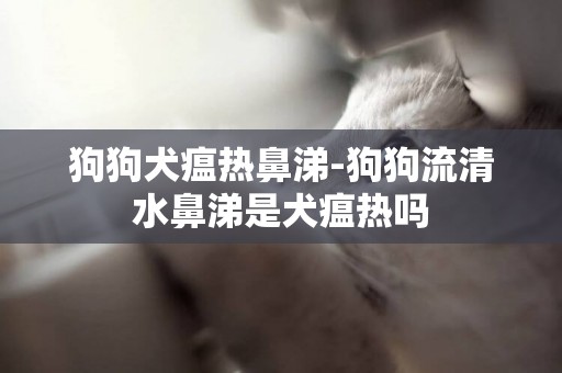 狗狗犬瘟熱鼻涕-狗狗流清水鼻涕是犬瘟熱嗎
