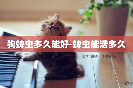 狗蜱蟲多久能好-蜱蟲能活多久