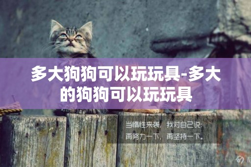 多大狗狗可以玩玩具-多大的狗狗可以玩玩具