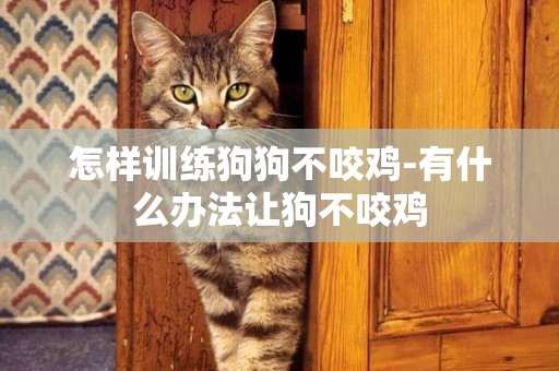 怎樣訓練狗狗不咬雞-有什么辦法讓狗不咬雞