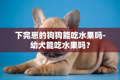 下完崽的狗狗能吃水果嗎-幼犬能吃水果嗎？