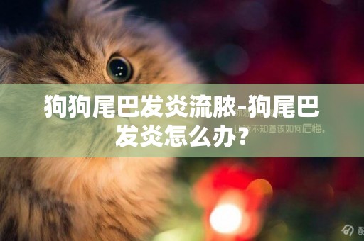 狗狗尾巴發炎流膿-狗尾巴發炎怎么辦？