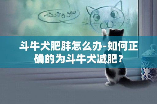 斗牛犬肥胖怎么辦-如何正確的為斗牛犬減肥？