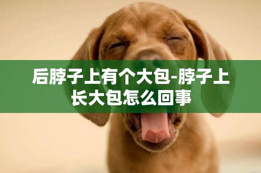 后脖子上有個大包-脖子上長大包怎么回事